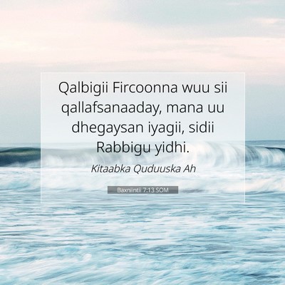 Picture 07 - Baxniintii 7:13 SOM - Qalbigii Fircoonna wuu sii qallafsanaaday, mana - Bible Verse Picture