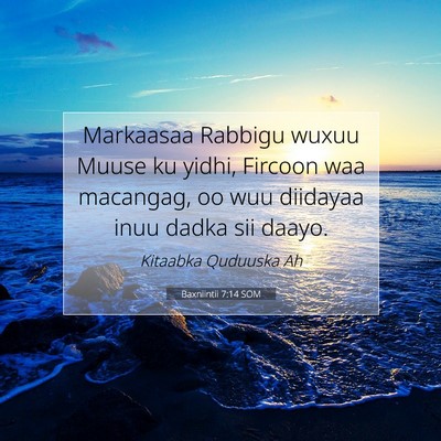 Picture 07 - Baxniintii 7:14 SOM - Markaasaa Rabbigu wuxuu Muuse ku yidhi, Fircoon - Bible Verse Picture