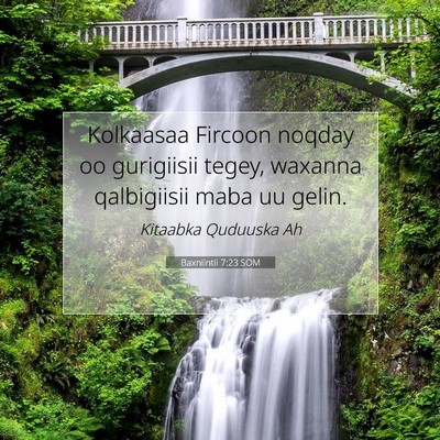 Picture 07 - Baxniintii 7:23 SOM - Kolkaasaa Fircoon noqday oo gurigiisii tegey, - Bible Verse Picture