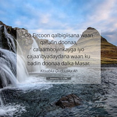 Picture 07 - Baxniintii 7:3 SOM - Oo Fircoon qalbigiisana waan qallafin doonaa, - Bible Verse Picture
