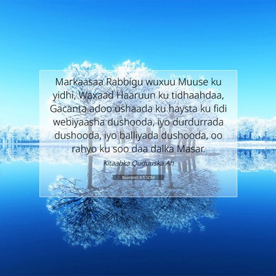 Picture 07 - Baxniintii 8:5 SOM - Markaasaa Rabbigu wuxuu Muuse ku yidhi, Waxaad - Bible Verse Picture