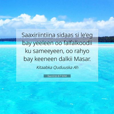 Picture 07 - Baxniintii 8:7 SOM - Saaxiriintiina sidaas si le'eg bay yeeleen oo - Bible Verse Picture