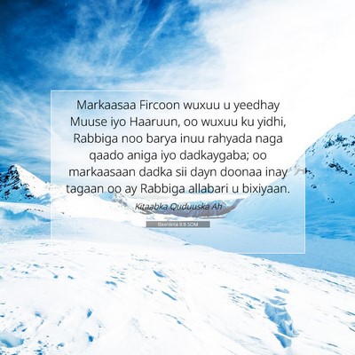 Picture 07 - Baxniintii 8:8 SOM - Markaasaa Fircoon wuxuu u yeedhay Muuse iyo - Bible Verse Picture