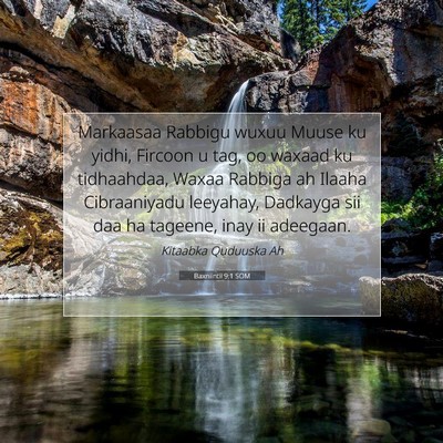 Picture 07 - Baxniintii 9:1 SOM - Markaasaa Rabbigu wuxuu Muuse ku yidhi, Fircoon u - Bible Verse Picture