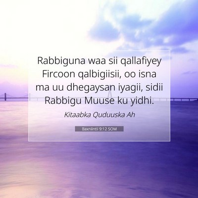 Picture 07 - Baxniintii 9:12 SOM - Rabbiguna waa sii qallafiyey Fircoon qalbigiisii, - Bible Verse Picture