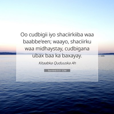 Picture 07 - Baxniintii 9:31 SOM - Oo cudbigii iyo shaciirkiiba waa baabbe'een; - Bible Verse Picture