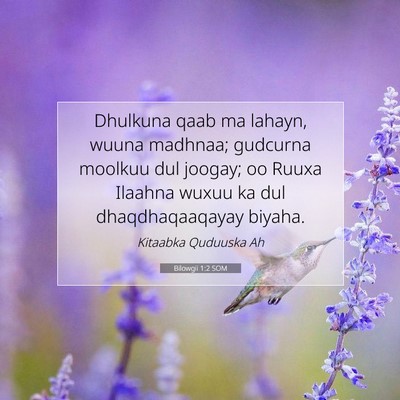 Picture 07 - Bilowgii 1:2 SOM - Dhulkuna qaab ma lahayn, wuuna madhnaa; gudcurna - Bible Verse Picture