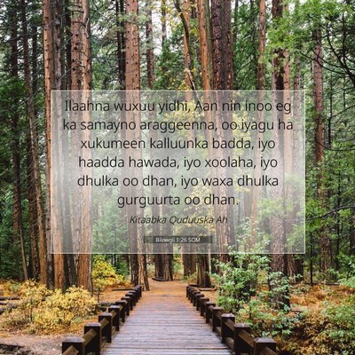 Picture 07 - Bilowgii 1:26 SOM - Ilaahna wuxuu yidhi, Aan nin inoo eg ka samayno - Bible Verse Picture