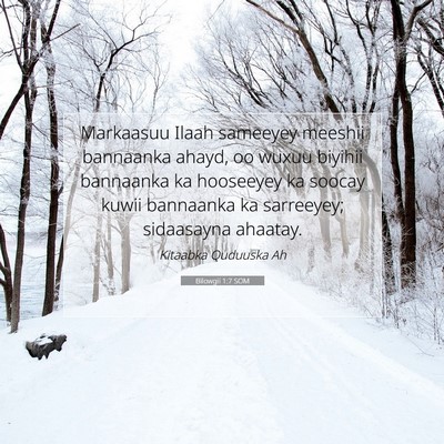 Picture 07 - Bilowgii 1:7 SOM - Markaasuu Ilaah sameeyey meeshii bannaanka ahayd, - Bible Verse Picture