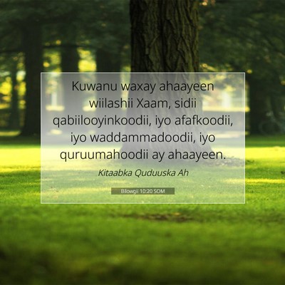 Picture 07 - Bilowgii 10:20 SOM - Kuwanu waxay ahaayeen wiilashii Xaam, sidii - Bible Verse Picture