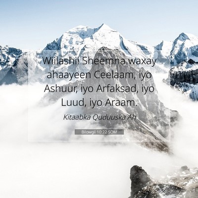 Picture 07 - Bilowgii 10:22 SOM - Wiilashii Sheemna waxay ahaayeen Ceelaam, iyo - Bible Verse Picture