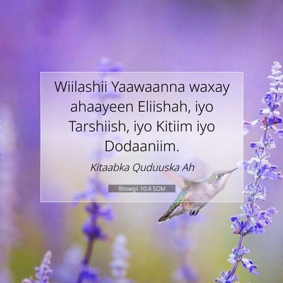Picture 07 - Bilowgii 10:4 SOM - Wiilashii Yaawaanna waxay ahaayeen Eliishah, iyo - Bible Verse Picture