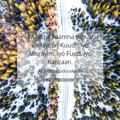 Picture 07 - Bilowgii 10:6 SOM - Wiilashii Xaamna waxay ahaayeen Kuush, iyo - Bible Verse Picture