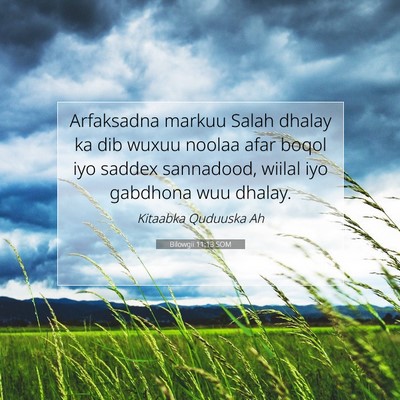 Picture 07 - Bilowgii 11:13 SOM - Arfaksadna markuu Salah dhalay ka dib wuxuu - Bible Verse Picture