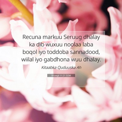 Picture 07 - Bilowgii 11:21 SOM - Recuna markuu Seruug dhalay ka dib wuxuu noolaa - Bible Verse Picture