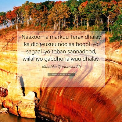 Picture 07 - Bilowgii 11:25 SOM - Naaxoorna markuu Terax dhalay ka dib wuxuu noolaa - Bible Verse Picture