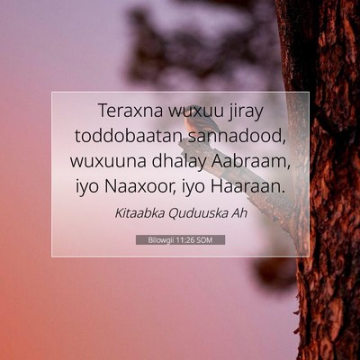Picture 07 - Bilowgii 11:26 SOM - Teraxna wuxuu jiray toddobaatan sannadood, - Bible Verse Picture