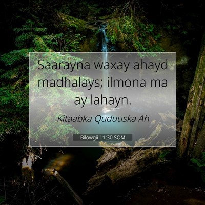Picture 07 - Bilowgii 11:30 SOM - Saarayna waxay ahayd madhalays; ilmona ma ay - Bible Verse Picture