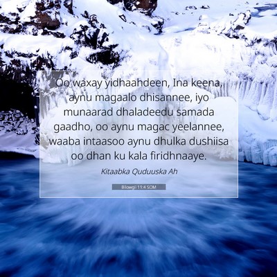 Picture 07 - Bilowgii 11:4 SOM - Oo waxay yidhaahdeen, Ina keena, aynu magaalo - Bible Verse Picture