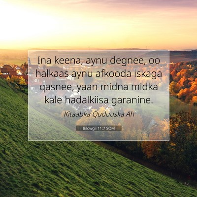 Picture 07 - Bilowgii 11:7 SOM - Ina keena, aynu degnee, oo halkaas aynu afkooda - Bible Verse Picture