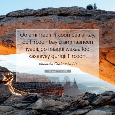 Picture 07 - Bilowgii 12:15 SOM - Oo amiirradii Fircoon baa arkay, oo Fircoon bay u - Bible Verse Picture