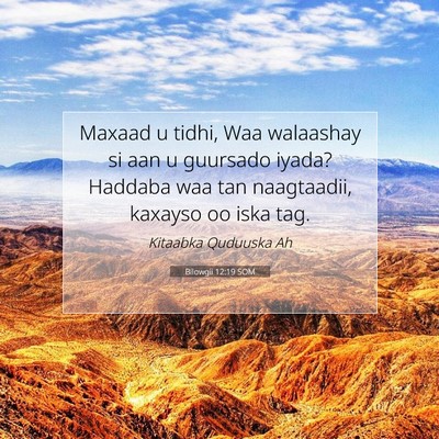 Picture 07 - Bilowgii 12:19 SOM - Maxaad u tidhi, Waa walaashay si aan u guursado - Bible Verse Picture