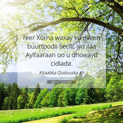 Picture 07 - Bilowgii 14:6 SOM - reer Xorna waxay ku dileen buurtoodii Seciir, iyo - Bible Verse Picture