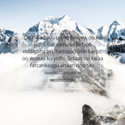 Picture 07 - Bilowgii 15:5 SOM - Oo dibadduu u soo bixiyey, oo ku yidhi, Bal - Bible Verse Picture