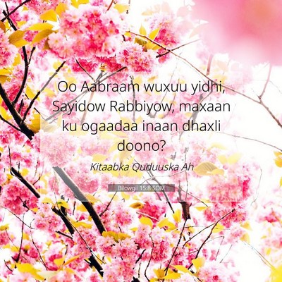 Picture 07 - Bilowgii 15:8 SOM - Oo Aabraam wuxuu yidhi, Sayidow Rabbiyow, maxaan - Bible Verse Picture