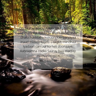 Picture 07 - Bilowgii 16:2 SOM - Oo Saaray waxay Aabraam ku tidhi, Bal eeg - Bible Verse Picture