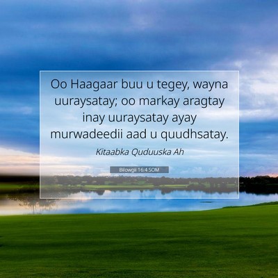Picture 07 - Bilowgii 16:4 SOM - Oo Haagaar buu u tegey, wayna uuraysatay; oo - Bible Verse Picture