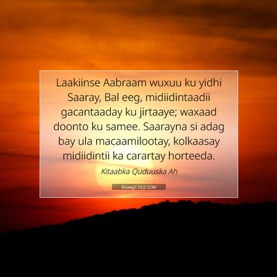 Picture 07 - Bilowgii 16:6 SOM - Laakiinse Aabraam wuxuu ku yidhi Saaray, Bal eeg, - Bible Verse Picture