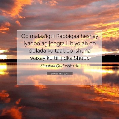 Picture 07 - Bilowgii 16:7 SOM - Oo malaa'igtii Rabbigaa heshay iyadoo ag joogta - Bible Verse Picture