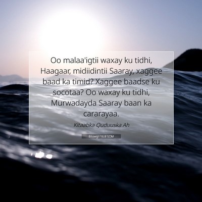 Picture 07 - Bilowgii 16:8 SOM - Oo malaa'igtii waxay ku tidhi, Haagaar, - Bible Verse Picture