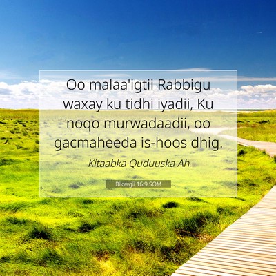 Picture 07 - Bilowgii 16:9 SOM - Oo malaa'igtii Rabbigu waxay ku tidhi iyadii, Ku - Bible Verse Picture