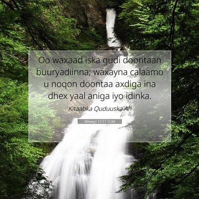 Picture 07 - Bilowgii 17:11 SOM - Oo waxaad iska gudi doontaan buuryadiinna; - Bible Verse Picture