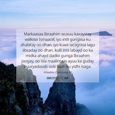 Picture 07 - Bilowgii 17:23 SOM - Markaasaa Ibraahim wuxuu kaxaystay wiilkiisii - Bible Verse Picture
