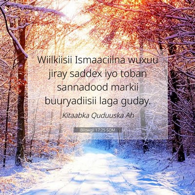 Picture 07 - Bilowgii 17:25 SOM - Wiilkiisii Ismaaciilna wuxuu jiray saddex iyo - Bible Verse Picture