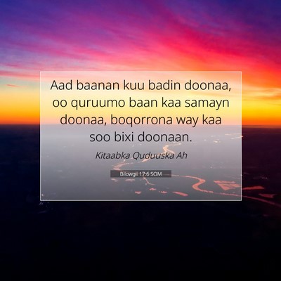 Picture 07 - Bilowgii 17:6 SOM - Aad baanan kuu badin doonaa, oo quruumo baan kaa - Bible Verse Picture