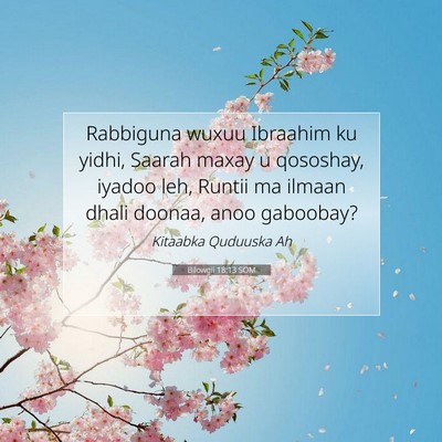 Picture 07 - Bilowgii 18:13 SOM - Rabbiguna wuxuu Ibraahim ku yidhi, Saarah maxay u - Bible Verse Picture