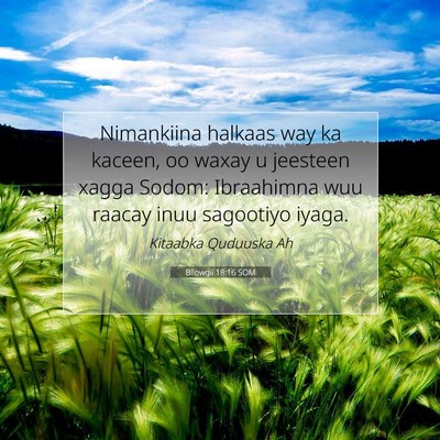 Picture 07 - Bilowgii 18:16 SOM - Nimankiina halkaas way ka kaceen, oo waxay u - Bible Verse Picture
