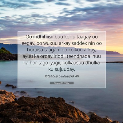 Picture 07 - Bilowgii 18:2 SOM - Oo indhihiisii buu kor u taagay oo eegay, oo - Bible Verse Picture