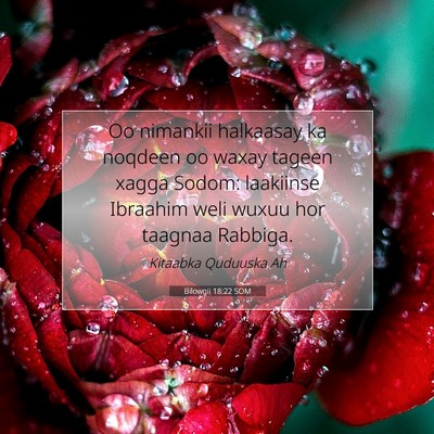 Picture 07 - Bilowgii 18:22 SOM - Oo nimankii halkaasay ka noqdeen oo waxay tageen - Bible Verse Picture