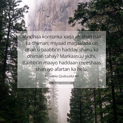 Picture 07 - Bilowgii 18:28 SOM - Mindhaa kontonka xaqa ah shan baa ka dhiman; - Bible Verse Picture