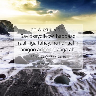Picture 07 - Bilowgii 18:3 SOM - oo wuxuu yidhi, Sayidkaygiiyow, haddaad raalli - Bible Verse Picture