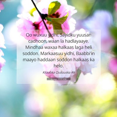 Picture 07 - Bilowgii 18:30 SOM - Oo wuxuu yidhi, Sayidku yuusan cadhoon, waan la - Bible Verse Picture
