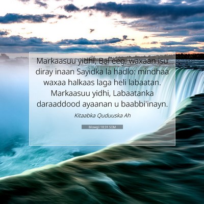Picture 07 - Bilowgii 18:31 SOM - Markaasuu yidhi, Bal eeg, waxaan isu diray inaan - Bible Verse Picture