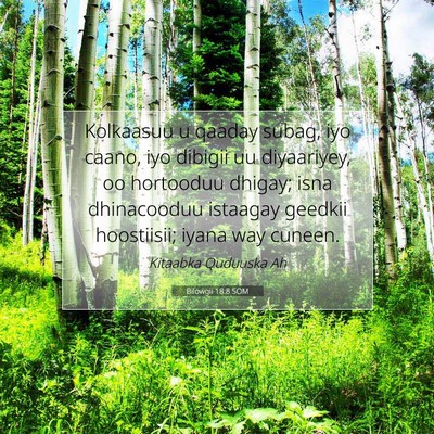 Picture 07 - Bilowgii 18:8 SOM - Kolkaasuu u qaaday subag, iyo caano, iyo dibigii - Bible Verse Picture