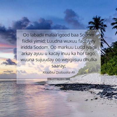 Picture 07 - Bilowgii 19:1 SOM - Oo labadii malaa'igood baa Sodom fiidkii yimid; - Bible Verse Picture
