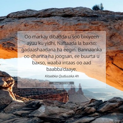 Picture 07 - Bilowgii 19:17 SOM - Oo markay dibadda u soo bixiyeen ayuu ku yidhi, - Bible Verse Picture